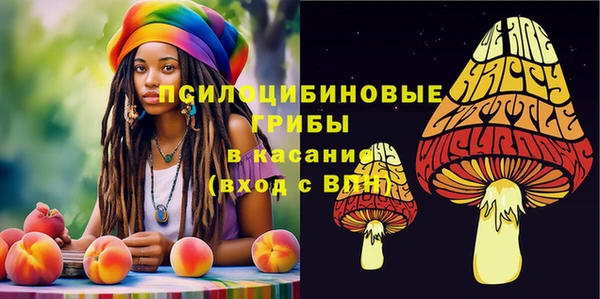 Альфа ПВП Алзамай