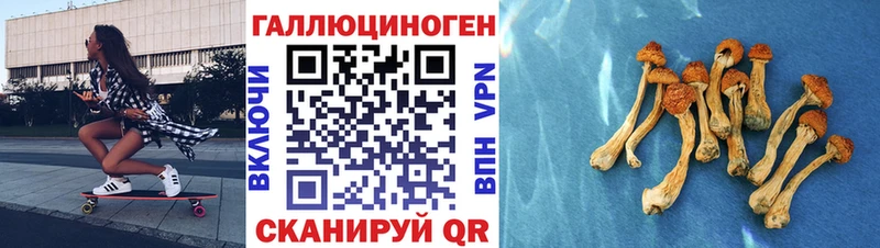 Галлюциногенные грибы MAGIC MUSHROOMS  Плавск 